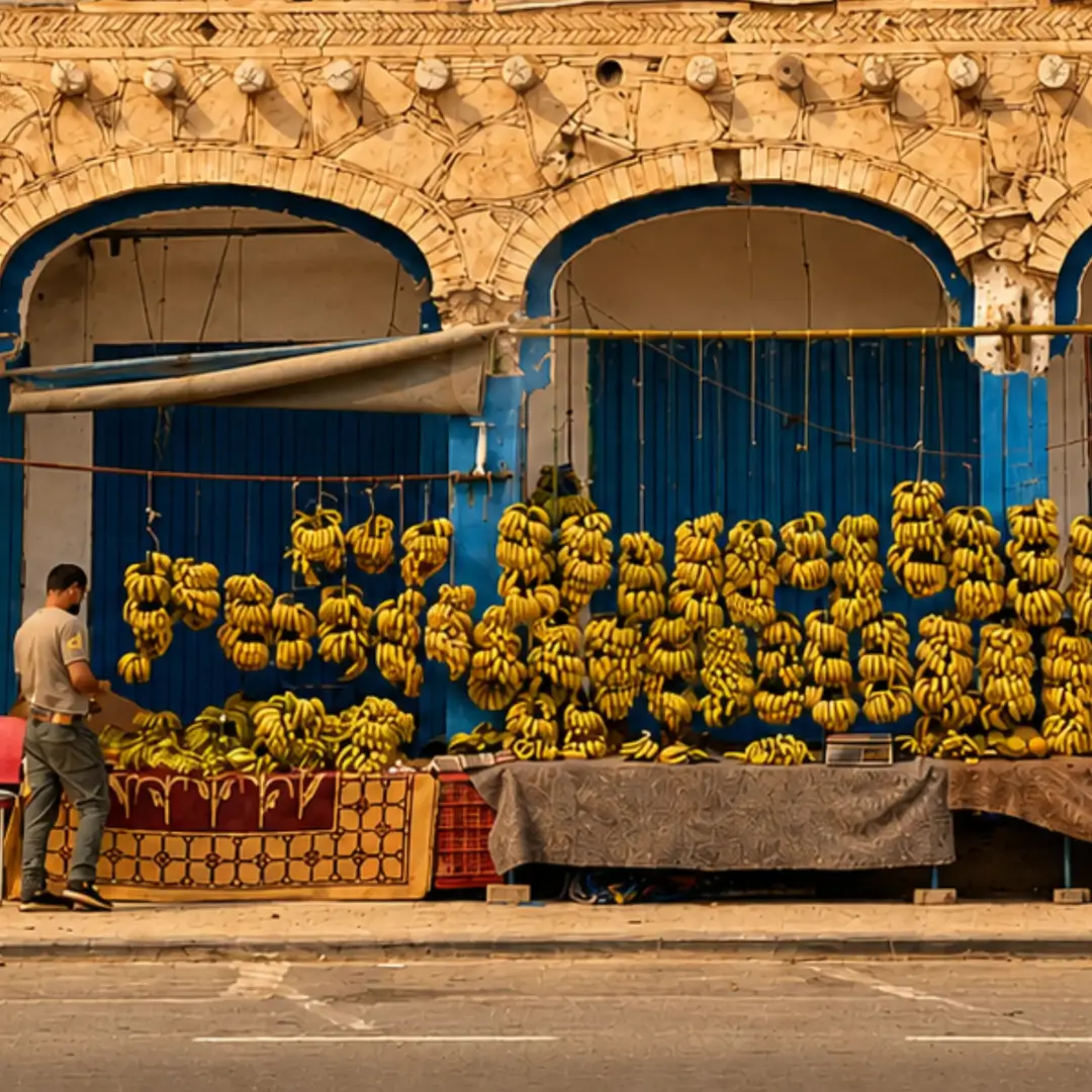 Local banana stall in Tamraght, Morocco