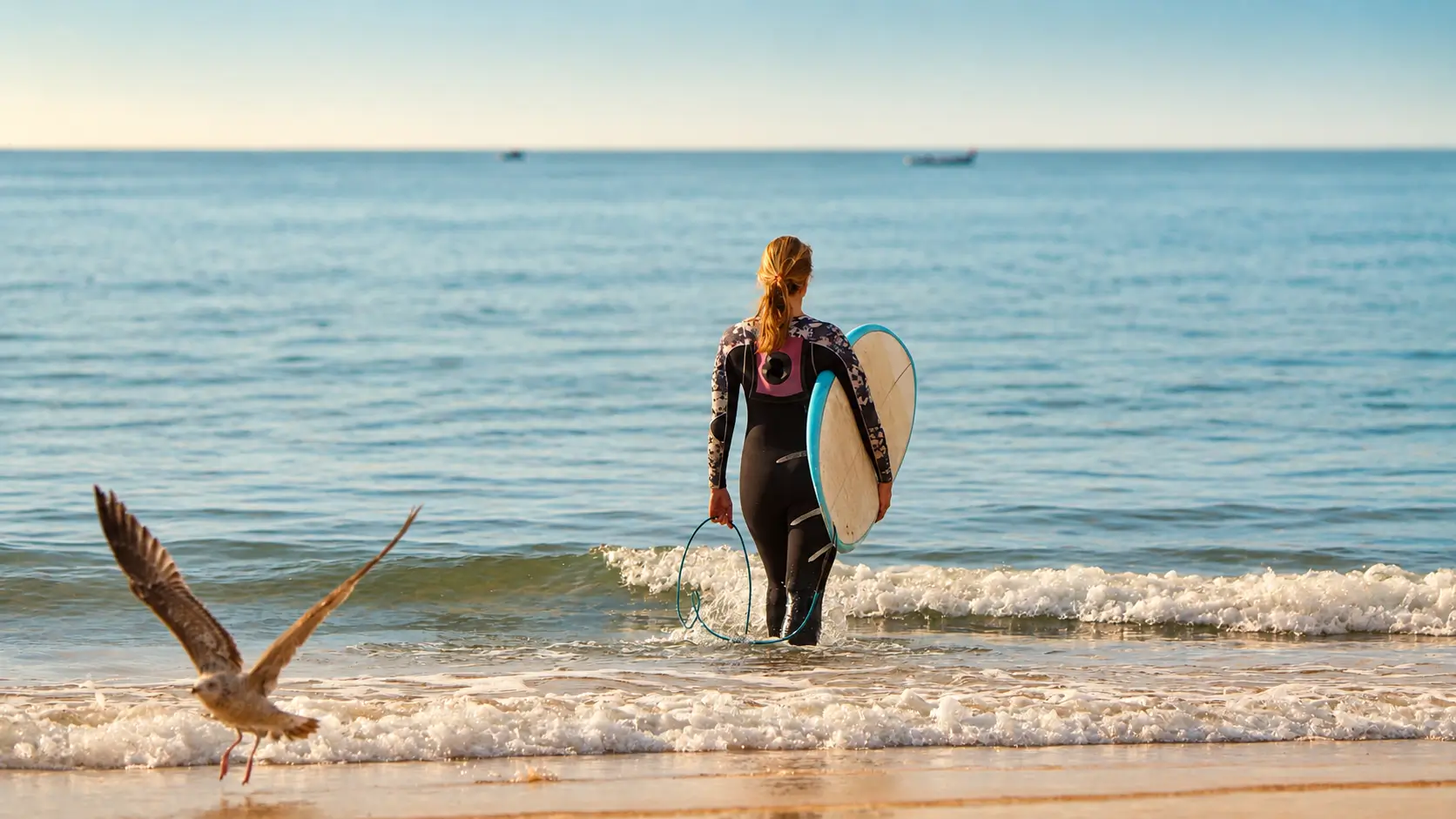 Surfer carrying a surfboard while walking into the Atlantic Ocean